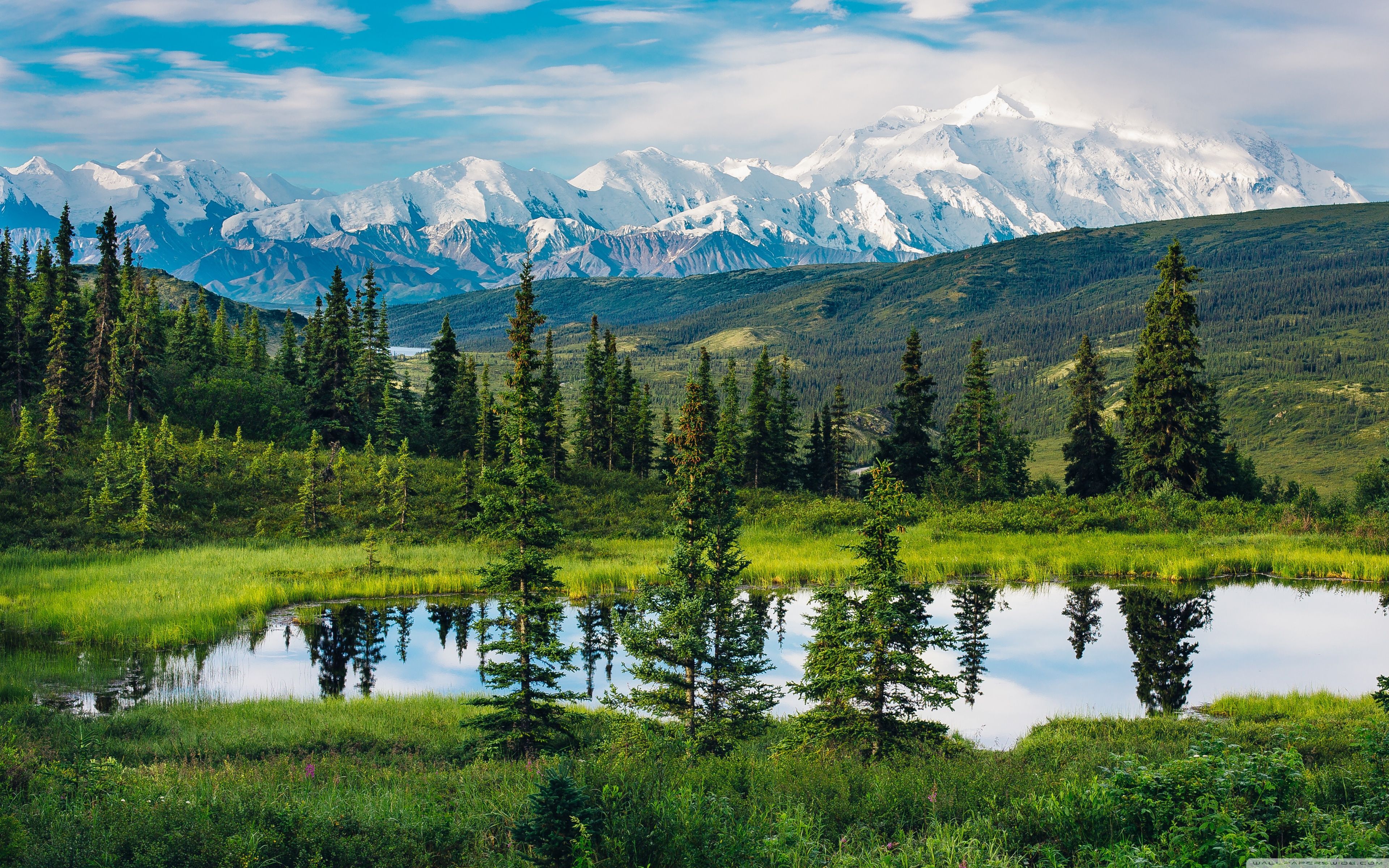 Alaska
